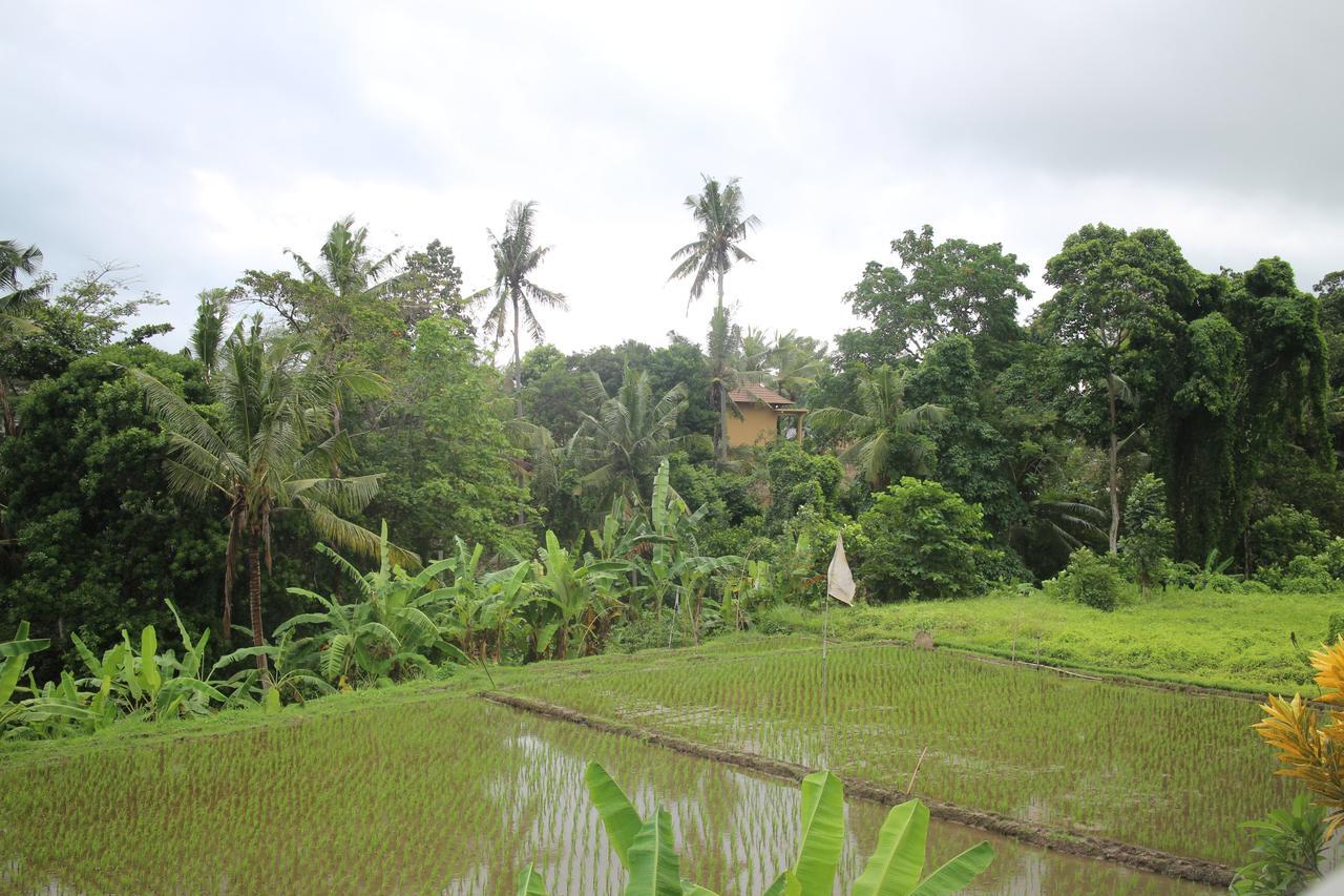 Ubud Sensasi Bungalow Экстерьер фото