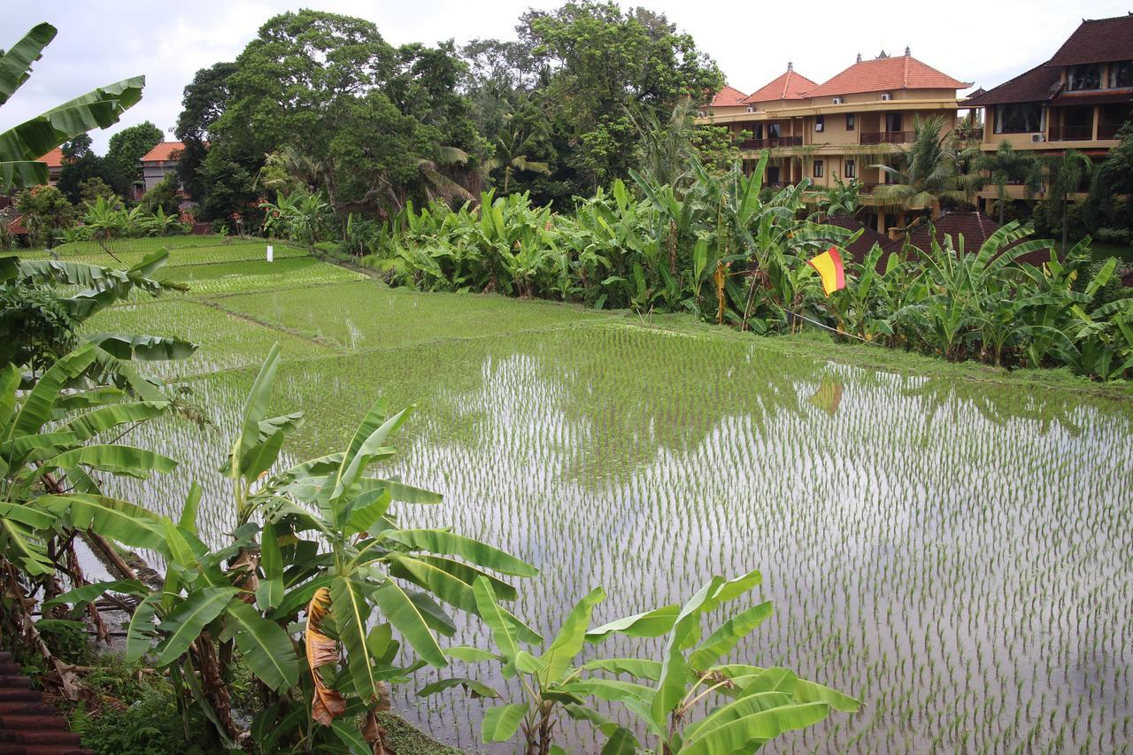 Ubud Sensasi Bungalow Экстерьер фото